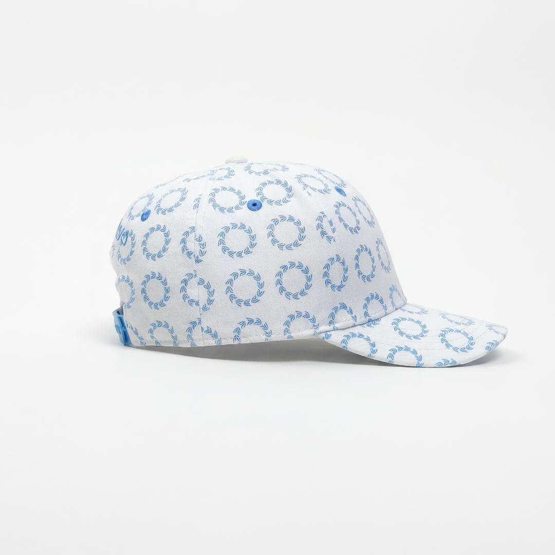 AP Pattern Hat