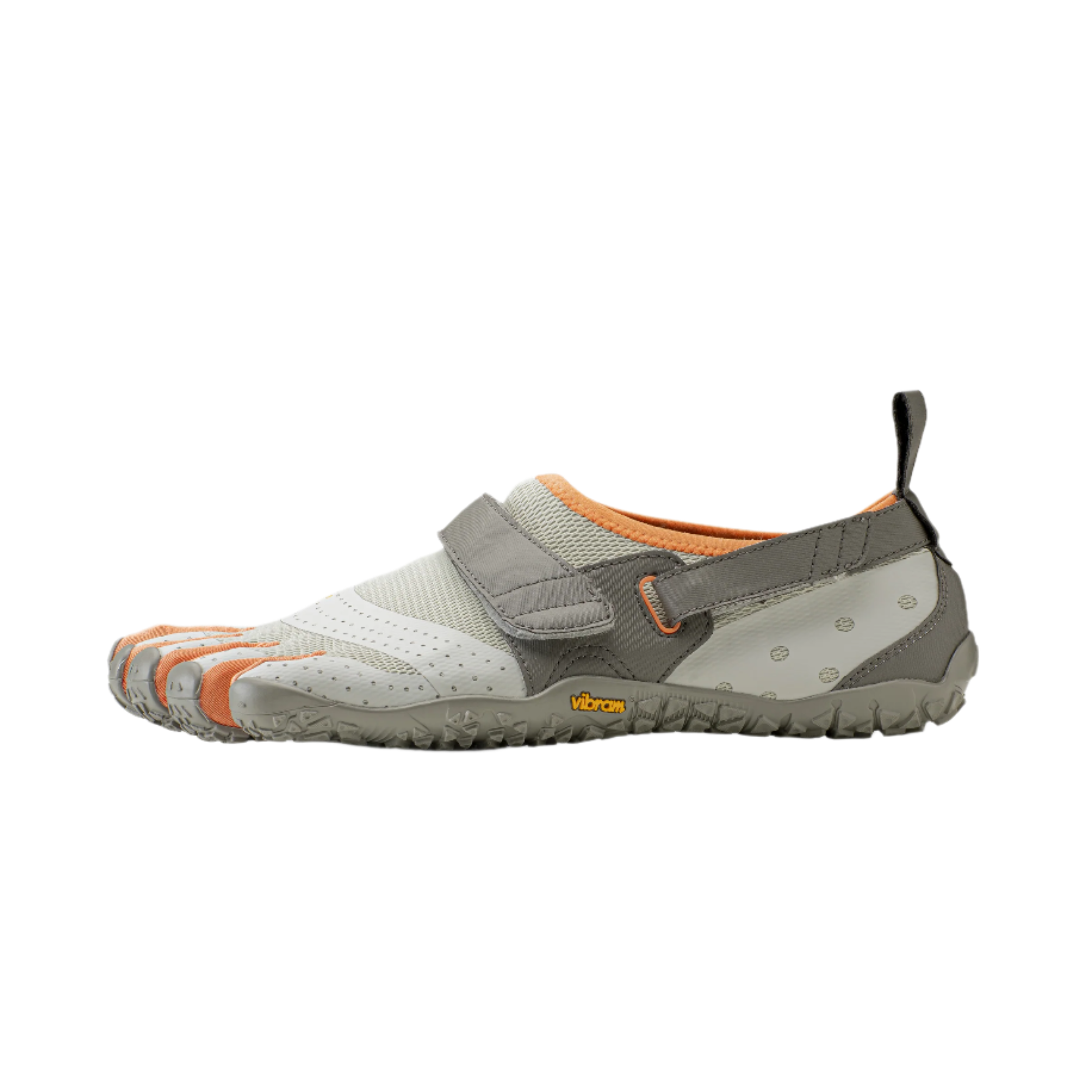 V-Aqua Mens Grey Coral Orange