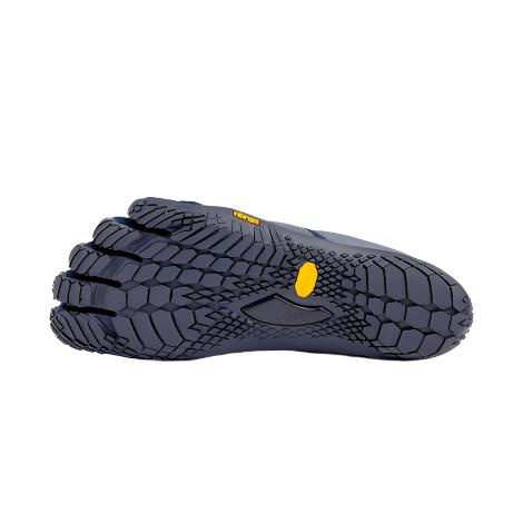 V-Lynx Womens Blue