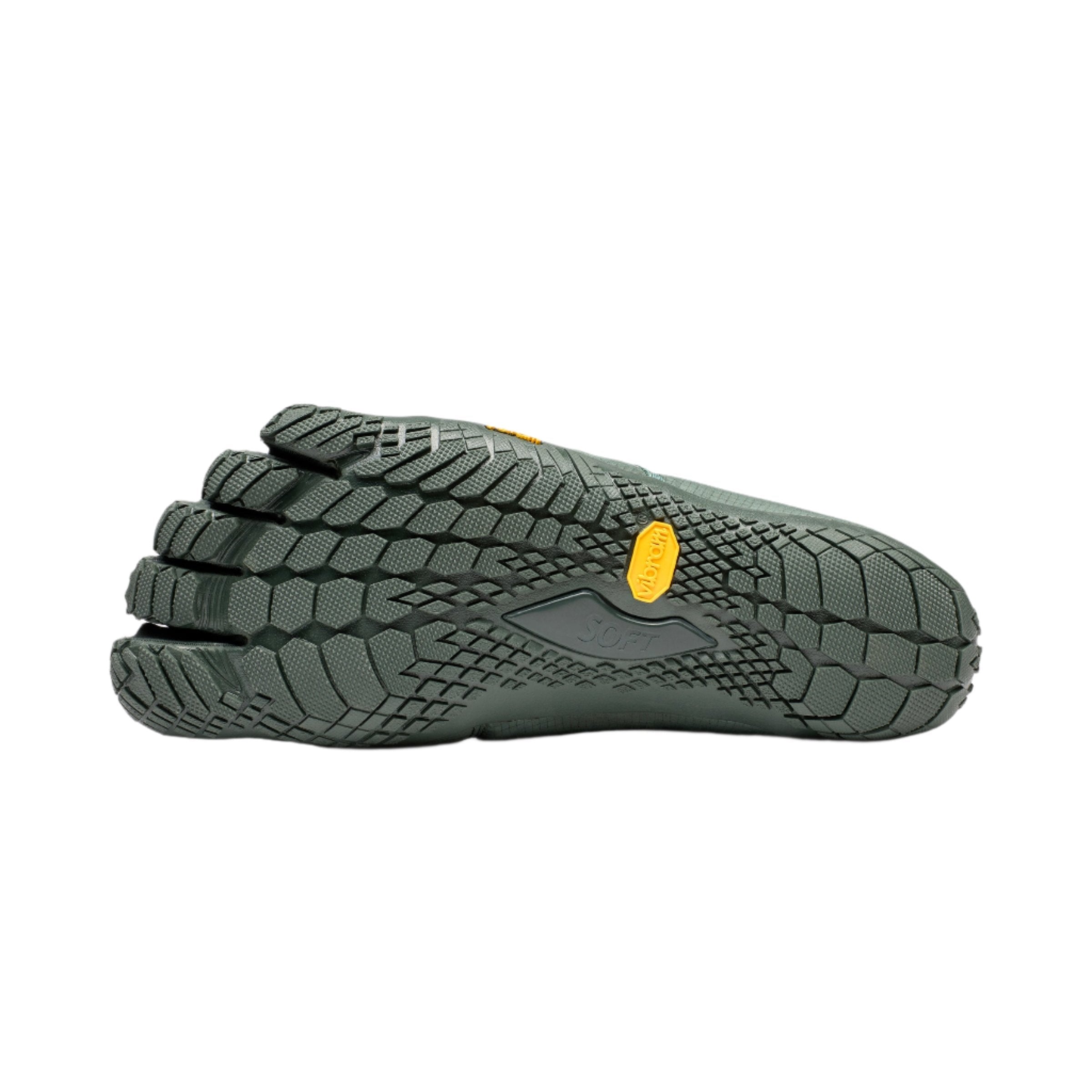 V-Lynx Womens Silver Pine